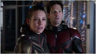 Ant-Man and The Wasp Box Office Collection Day 2: Paul Rudd and Evangeline Lilly's Superhero Film Sees an Upward Trend on Saturday; Collects Rs 12.50 Crore