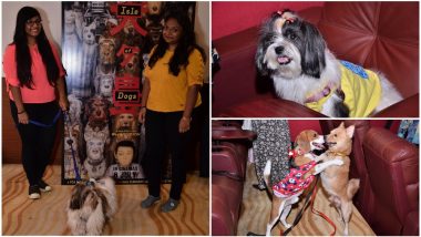 Isle of Dogs: Check Out The Special Screening of the Wes Anderson Film Organised for Canine Friends - View Pics