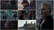 Fantastic Beasts - The Crimes of Grindelwald Comic-Con Trailer: Jude Law's Dumbledore Seeks Eddie Redmayne's Newt Scamander's Help to Challenge Johnny Depp's Grindelwald