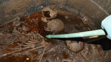 People Want to Drink Red Liquid From 2000-Year Old Sarcophagus Uncovered in Egypt, Sign Online Petition