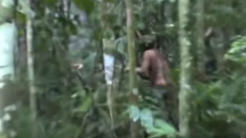 WATCH: Last Remaining Member of Indigenous Amazon Tribe Caught on Camera