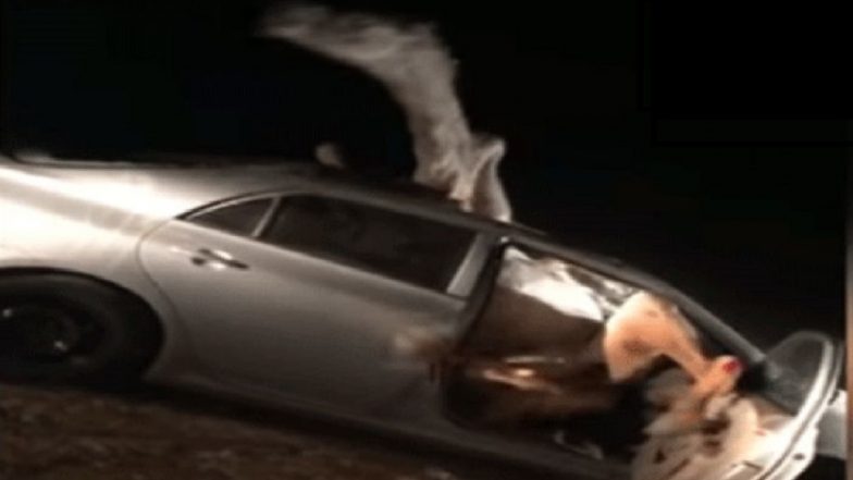 Viral Video of Camel Inside Car after a Horrific Accident is Not From Jodhpur, Rajasthan! It is From an Unfortunate Accident in Jordan