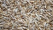 Jeera Prices Increase By Rs 315 to Rs 19915 Per Quintal Due to Strong Domestic Demand