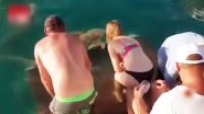 Australian Woman Pulled in Water by Sharks, Miraculously Survives! Watch Video