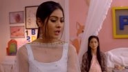 Yeh Hai Mohabbatein Written Episode Update, July 10, 2018: Aliya Threatens to Take The Baby Away From Roshni
