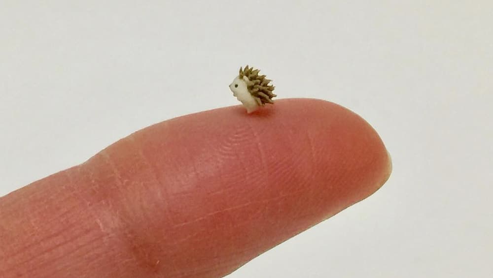 A miniature hedgehog as cute as the regular sized one
A miniature hedgehog as cute as the regular sized one