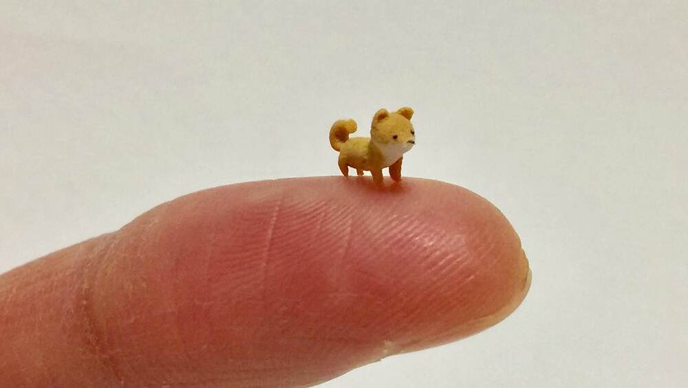 A little fox that can rest on your fingertip A little fox that can rest on your fingertip