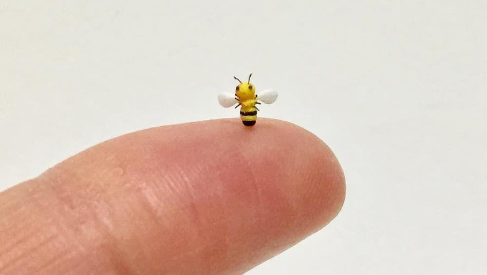 Bumble bee that looks too cute to sting Bumble bee that looks too cute to sting