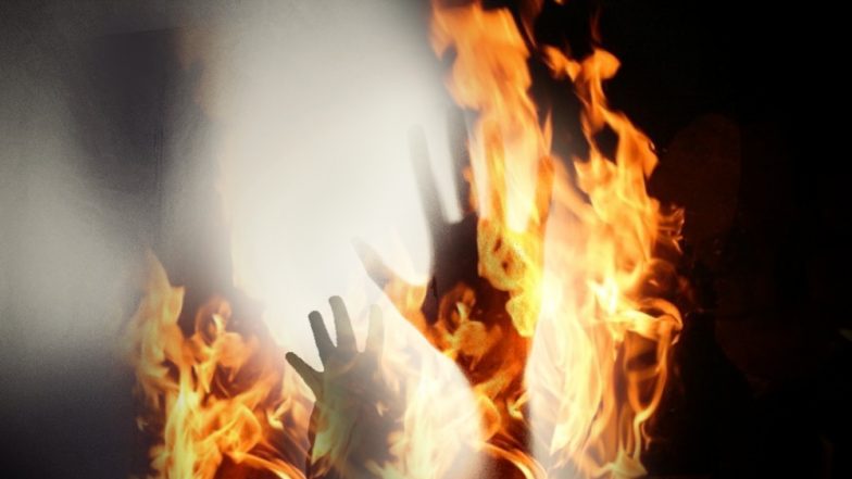 Kerala Man Sets Himself on Fire at BJP’s Sabarimala Temple Protest Venue