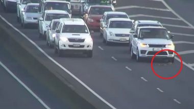 Adorable! Auckland Motorists on Northern Motorway Stop on All Lanes for a Family of Ducks to Cross the Road (Watch Video)