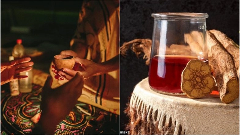 Ayahuasca, a Psychedelic Jungle Plant Will Give You ‘Near-Death’ Experiences