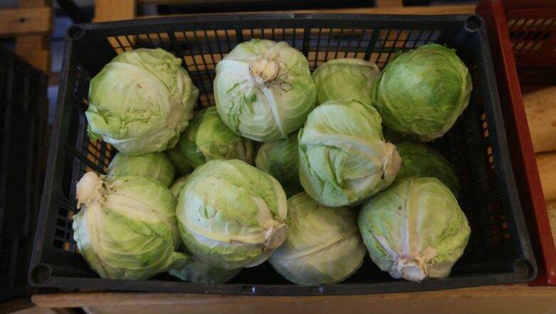 Broccoli, Cabbage and Kale May Protect Against Colon Cancer Broccoli, Cabbage and Kale May Protect Against Colon Cancer