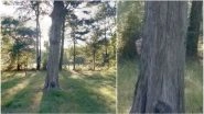 Are Ghosts Real? These Google Maps Street View Images Have Captured Some Creepy Faces, Watch Video