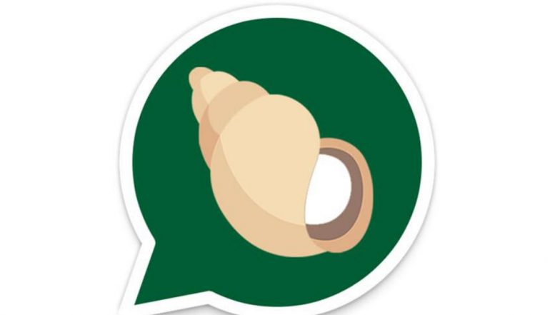 Patanjali Postpones Kimbho Chat App Launch After Missing Deadline