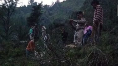 Himachal Pradesh: 116 Animals, Cattle Herder Killed After Getting Trapped Under Boulders Due to Landslide in Kullu