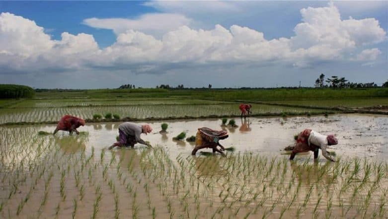 Monsoon to Be Delayed by Five Days; to Hit Kerala on June 6 Monsoon to Be Delayed by Five Days; to Hit Kerala on June 6