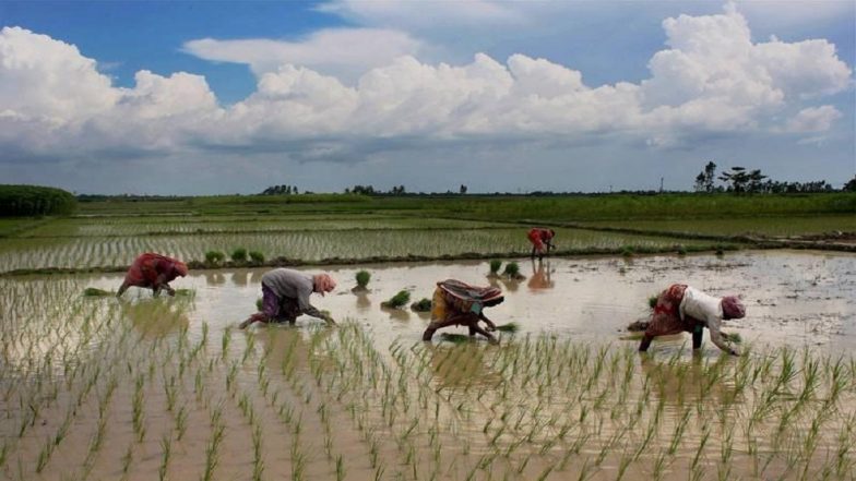 Monsoon 2019: Rainfall in India 24% Below Average For Week Ending on June 26, Says IMD
