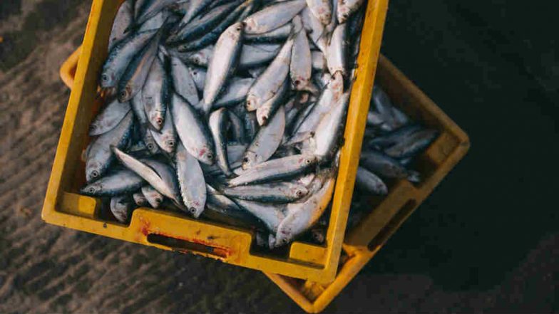 Coronavirus Scare in Uttar Pradesh: Ban Imposed on Sale of Meat, Semi-Cooked Meat, Fish and Chopped Vegetable in Muzaffarnagar