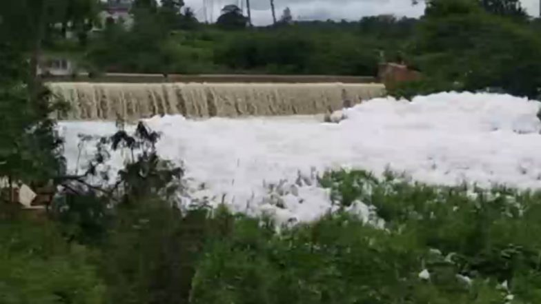 Tamil Nadu Water Pollution: Noyyal River in Coimbatore Turns Frothy, See Pictures