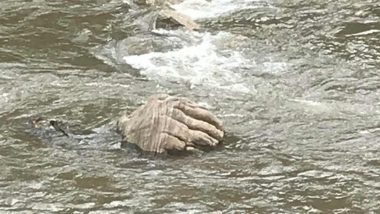 'Hand of God' in Kerala: Human Hand-shaped Rock Appears in Munnar River After Flood Waters Recede