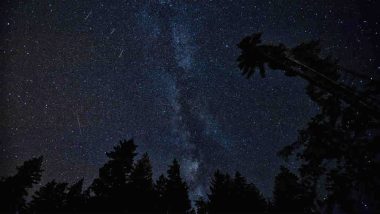 Perseid Meteor Shower 2018: US' Central Idaho Dark Sky Reserve Will Give You a Spectacular View of the Celestial Event!