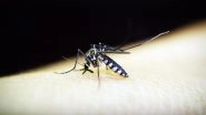 World's Deadliest Killer: Mosquitoes Are Biggest Cause of Human Deaths Around the World!