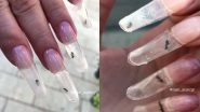 Nail Salon Slammed For 'Live Ant Manicure', Netizens Call it 'Cruelty', View Pics