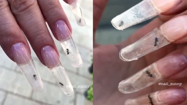 Nail Salon Slammed For Live Ant Manicure Netizens Call It Nail Salon Slammed For Live Ant Manicure Netizens Call It Cruelty