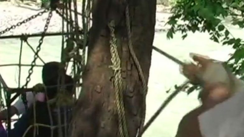 Nainital: Children Risk Lives, Use Ropeway to Reach School in Kathgodam