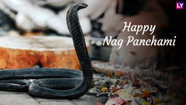 Nag Panchami 2018 Date: Puja Muharat, Tithi, Fasting, Rituals, History & Significance of The Festival of Snakes