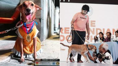 Stray Dogs in Chennai Walked the Ramp For an Adoption Drive, View Cute Pics From The Great Indian Dog Show!