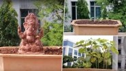 Eco-Friendly Ganesha 2018: This Ganpati Idol Grows Into a Tree, Watch Video
