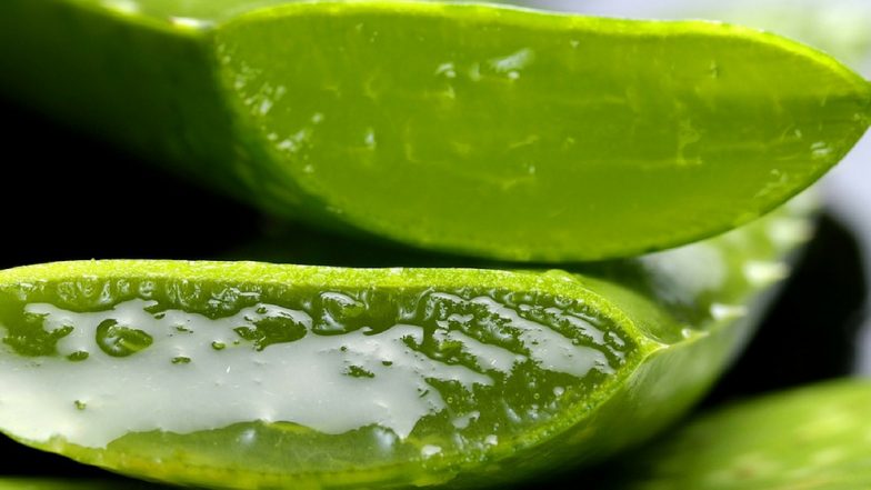 Hair Care Tips: Use Aloe Vera and Coconut Oil to Maintain Long and Healthy Hair