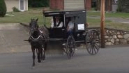 &lsquo;Amish Uber&rsquo; Launched in Michigan! Man Offers Uber-Like Experience With His Horse & Buggy: Watch Video