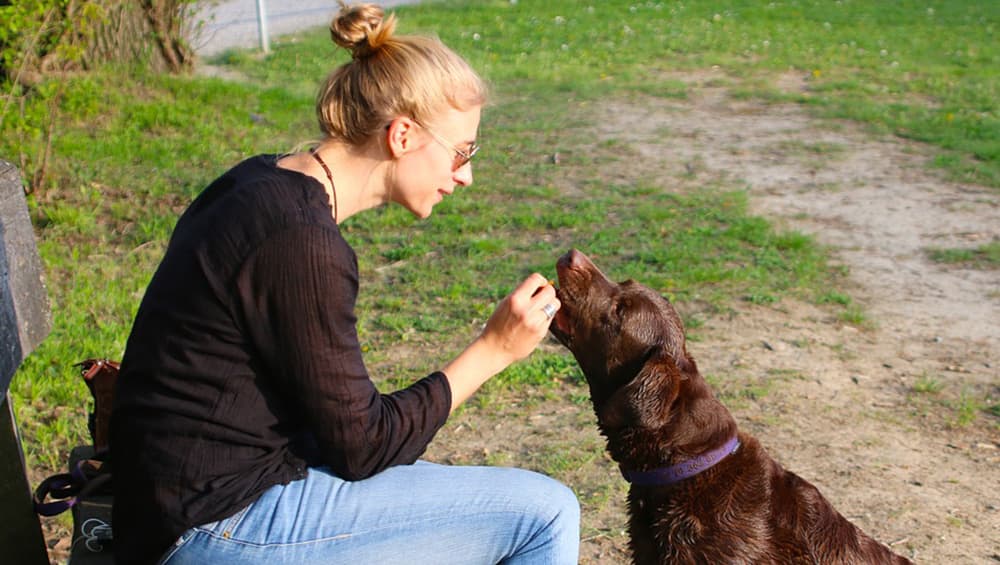 There are many social media pages dedicated to man-dog friendship. There are many social media pages dedicated to man-dog friendship.