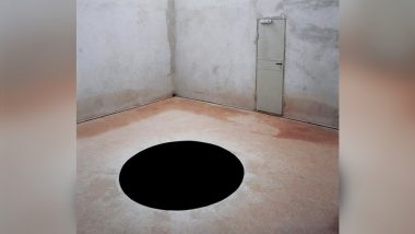 Man Falls Into Blackhole Art at a Museum in Portugal, Admitted to Hospital