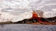 Blood Falls in Antarctica? Scientists Have Solved The Mystery of Flowing Red Water Decades Later