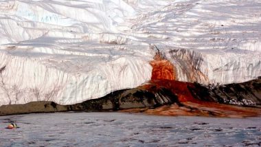 Blood Falls in Antarctica? Scientists Have Solved The Mystery of Flowing Red Water Decades Later