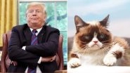From Grumpy Cat to Donald Trump, Google Trends Show Steady Increase in Funny Meme Searches Since 2009