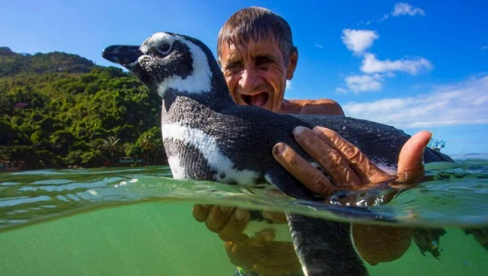 Joao Pereira de Souza, rescued him when he was almost dying. Joao Pereira de Souza, rescued him when he was almost dying.