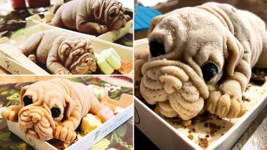 New Trend of Dog-Shaped Ice Creams is Going Viral in Taiwan, Watch Video and Pictures