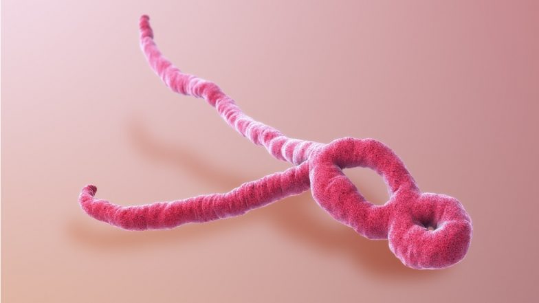Ebola Scare in Jaipur: Uganda Tourist Hospitalised in Rajasthan With Symptoms, Sample Sent for Test