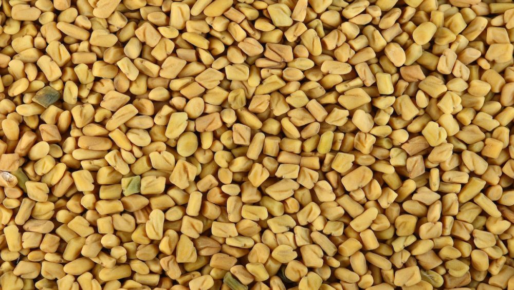 Methi Seeds for Hair: How Fenugreek Seeds Can Prevent Hair Loss, Dandruff  And Promote Thick Hair Growth | 🍏 LatestLY
