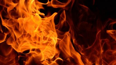 Post Pulwama Attack, Teacher in Karnataka's Belagavi Praises Pakistan; Angry Villagers Set Her House on Fire