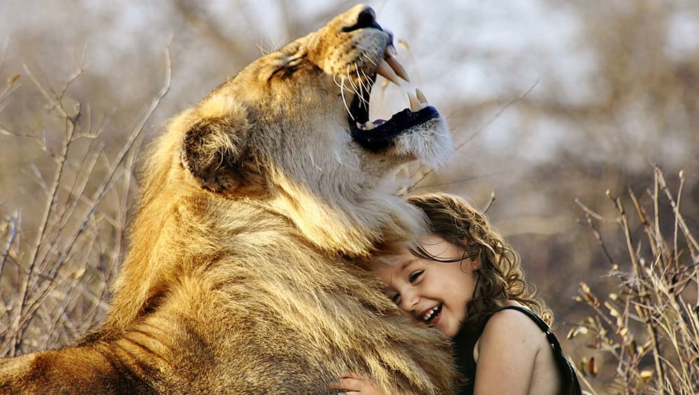 One of the scariest animals, lions, can also be warm and friendly. One of the scariest animals, lions, can also be warm and friendly.
