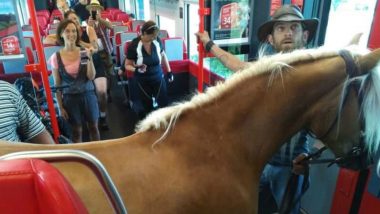 Austrian Man Takes His Horse to Board Federal Railways Train! Pictures Goes Viral