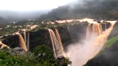 Jog Falls in Karnataka Are Flowing in Full Glory After Four Years, Watch Breathtaking Video!