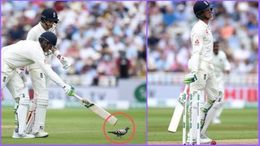 A Pigeon Led to Keaton Jennings’ Dismissal in the First Innings of IND vs END 1st Test? Watch Video