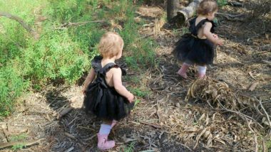 Poisonous Brown Snake Close to the Twins Camouflaged in Leaves Accidentally Clicked by Mom! Spot the Reptile in This Pic