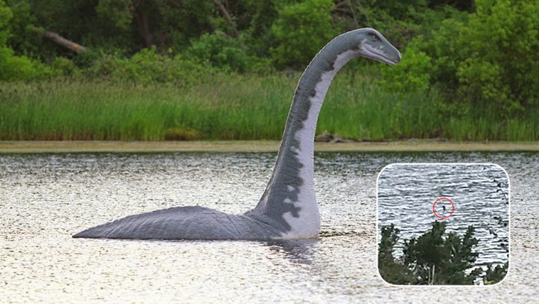 Loch Ness Captured Girl on a Holiday Clicks Best Picture 